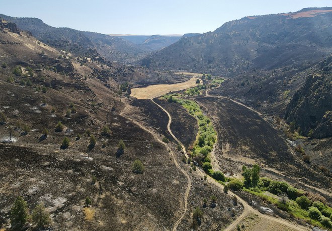 Wildfire Restoration Tour
