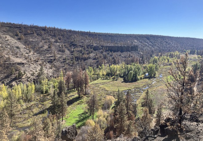 Wildfire Restoration Tour