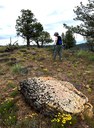 Wildflower Hike
