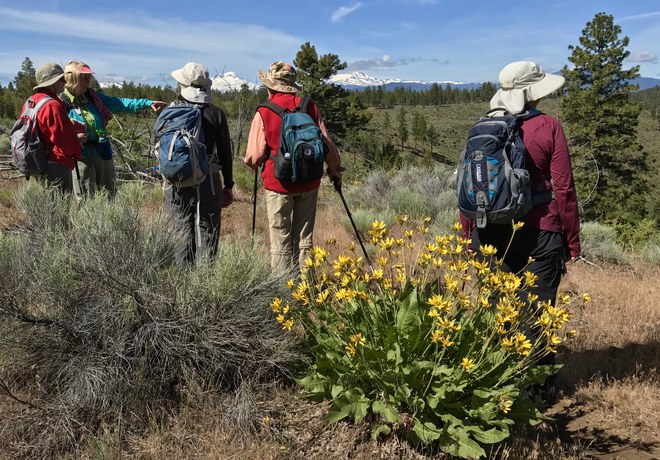 Wildflower Hike