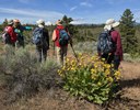 Wildflower Hike