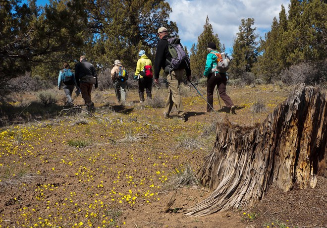 Wildflower Hike