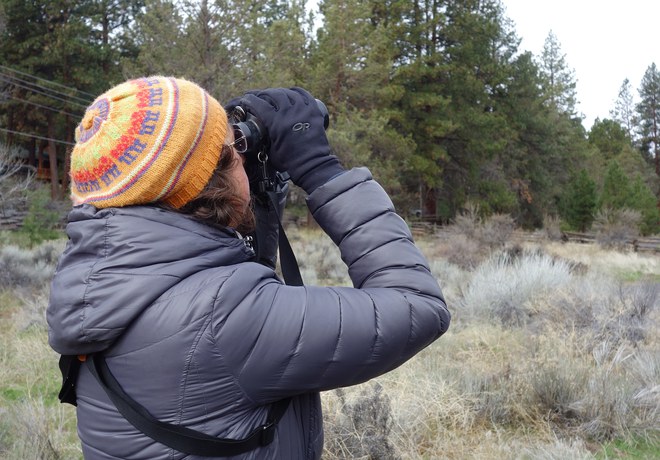Winter Wandering at Camp Polk Meadow Preserve