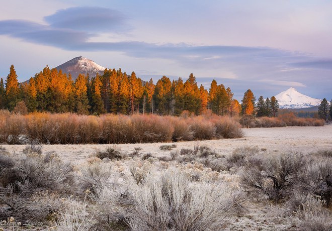 Winter Wandering at Indian Ford Meadow Preserve