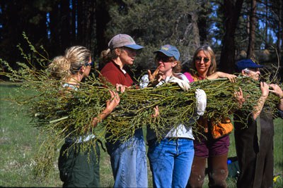  We will keep your private information wrapped up like this willow bundle! Photo: Byron Dudley.