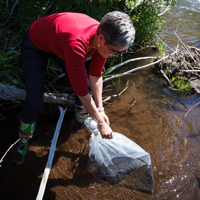 Releasing steelhead salmon along Whychus Creek. Photo: Dashiel Pare-Mayer