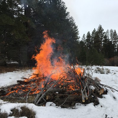 A prescribed burn at Camp Polk Meadow Preserve. Photo: Land Trust