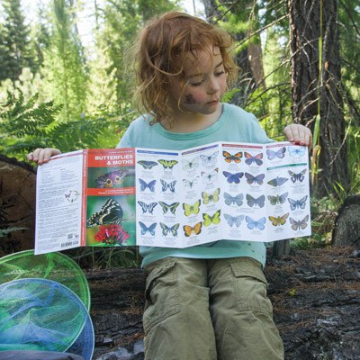 A child learns about butterflies. Photo: Sue Anderson