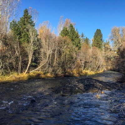 Whychus Creek. Photo: Kris Kristovich.