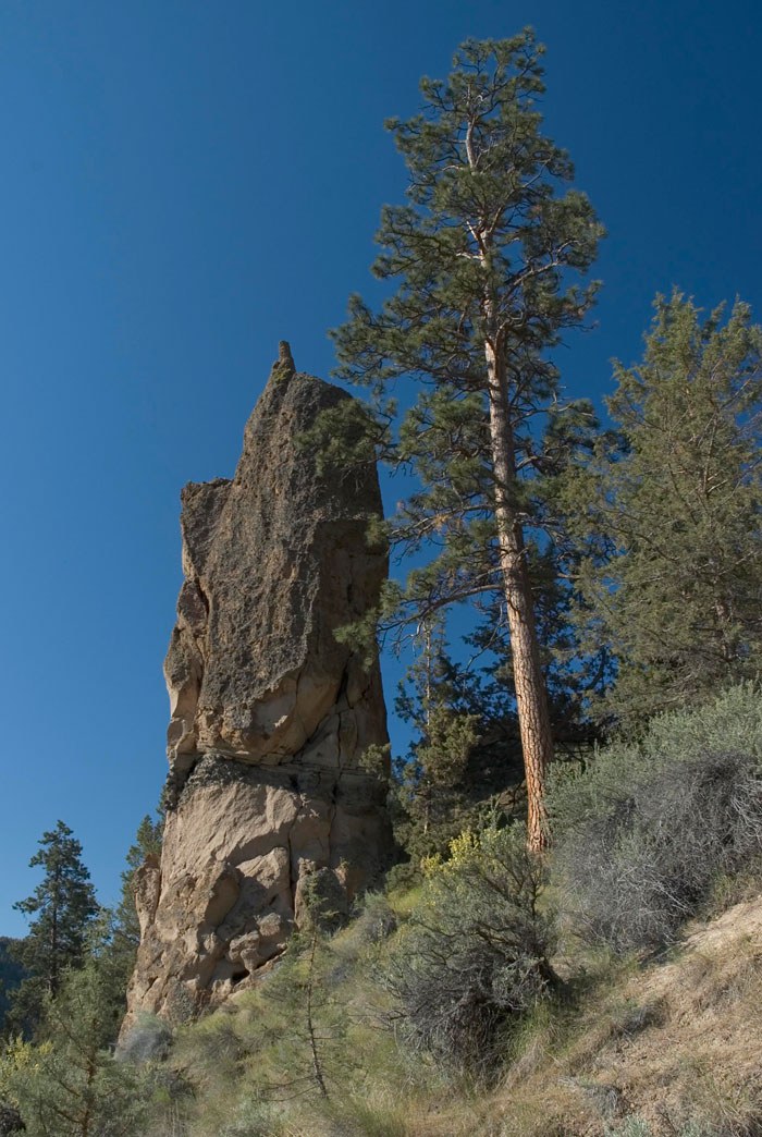 The Land Trust worked with the owners of Rimrock Ranch to conserve their land. Photo: Jim Yuskavitch.