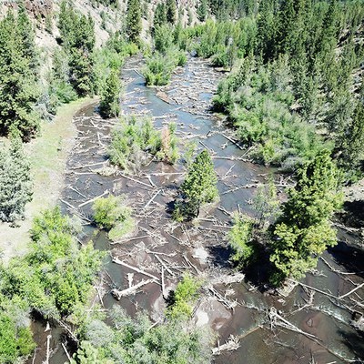 Photo: Land Trust.