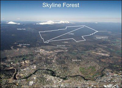 Skyline Forest Aerial view. Photo: Aerial Images