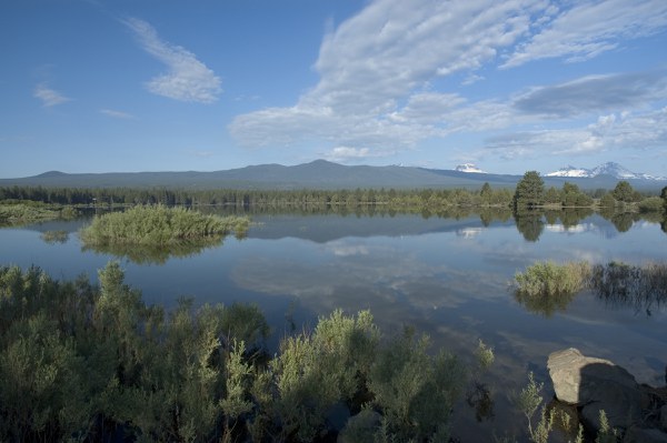 Skyline Forest as seen from Tumalo Reservoir. Photo: Jim Yuskavitch.