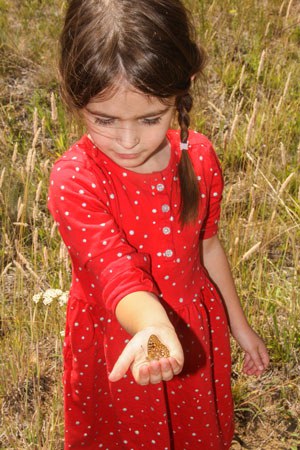 You can help chart the future of Central Oregon. Donate today! Photo: Sue Anderson.