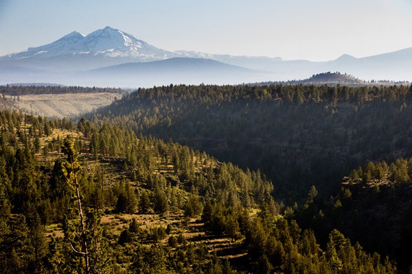 The Three Sisters loom over Whychus Canyon Preserve. Photo: Tyler Roemer.