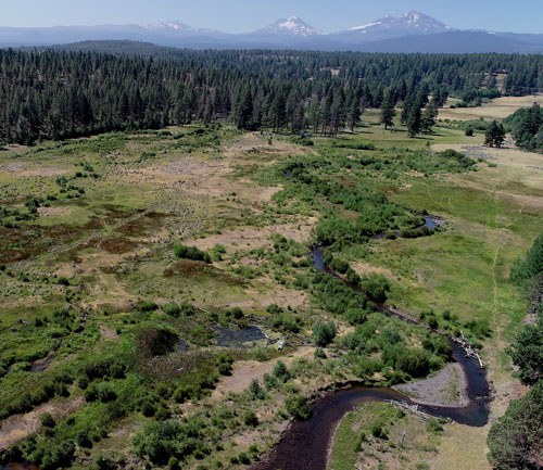 Camp Polk Meadow Preserve. Photo: Universal Drone.