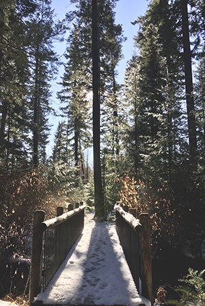 A light snow dusts a bridge at the Metolius Preserve. Photo: Land Trust.