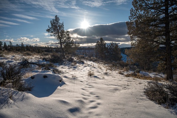 Photo: Matt Oliphant.