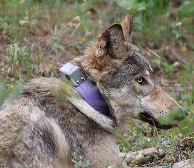 Join the Deschutes Land Trust for Nature Nights! Photo: Austin Smith Jr.