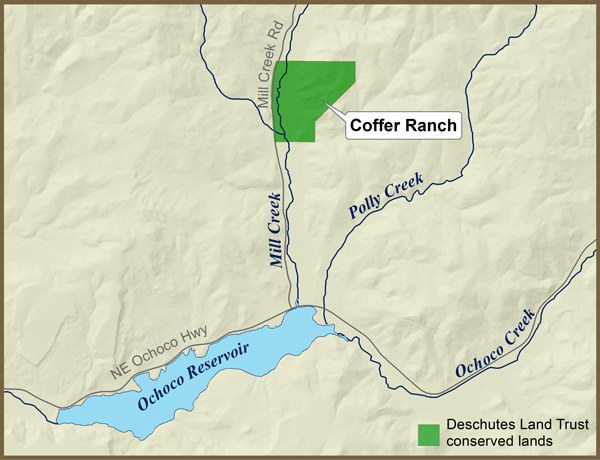 Coffer Ranch 600px