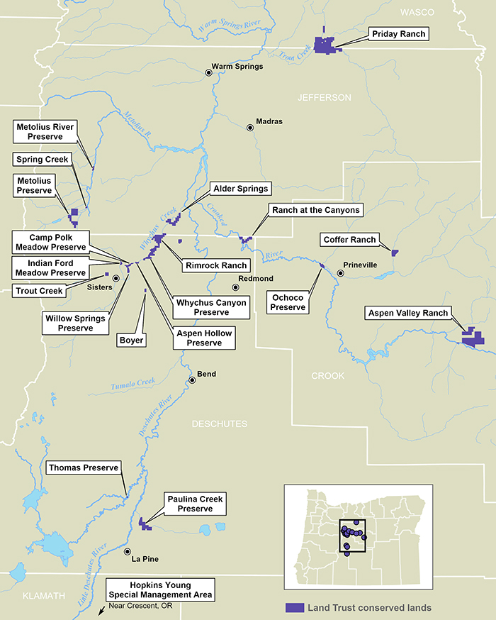2025_Web_Basin_CURRENT_purple_2025_0411_cropped_700px.jpg