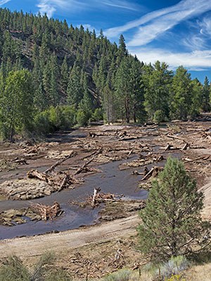 Water has returned to our meadow at Whychus Canyon Preserve. Photo: Jay Mather.