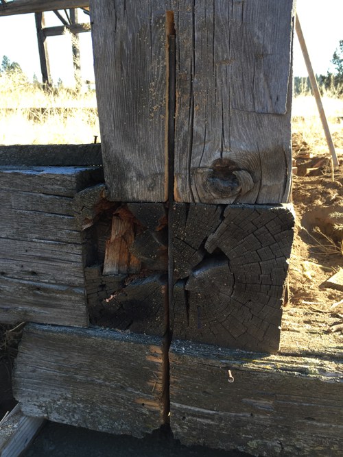 First, a notch is cut in the post and sill of the barn. We are working to save as much of the post and sill as possible. Photo: Land Trust.