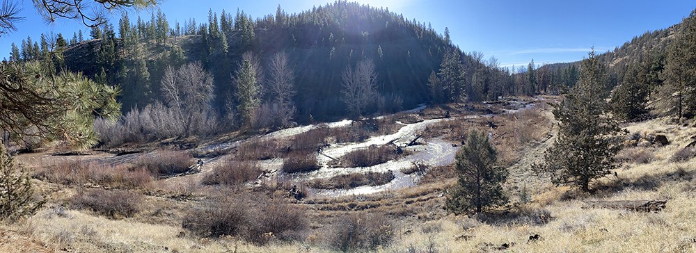 The Whychus Canyon Preserve restoration area during a high flow event in mid-January 2021. Photo: Mathias Perle, Upper Deschutes Watershed Council.