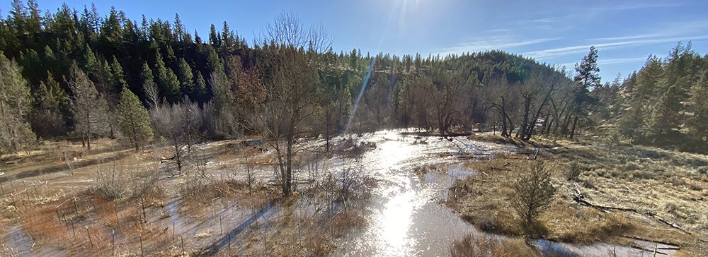 The Whychus Canyon Preserve restoration area during a high flow event in mid-January. Photo: Mathias Perle, Upper Deschutes Watershed Council.