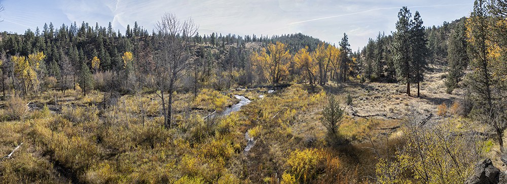 The Whychus Canyon Preserve restoration area in October 2020. Photo: Jay Mather.