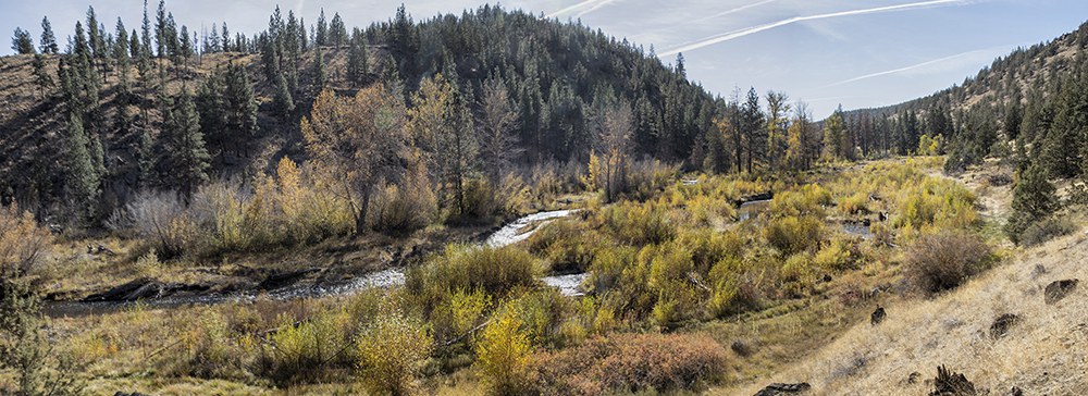 The Whychus Canyon Preserve restoration area in October 2020. Photo: Jay Mather.