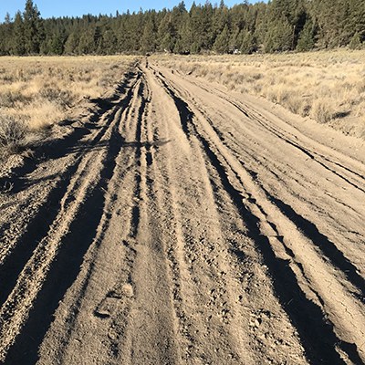 BEFORE: Fire breaks created impacted soil, ruts, and berms. Photo: Land Trust.