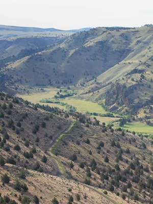 The Land Trust is working on restoring some of the fields at Priday Ranch. Photo: Ryder Redfield.