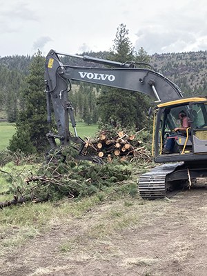 Logs being collected for use in the Ochoco Preserve Project. Photo: Land Trust. 