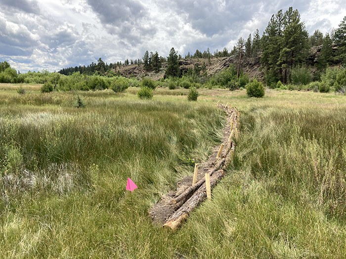 A newly built log structure to aid in the restoration of Whychus Creek at Willow Springs Preserve. Photo: Land Trust.