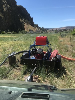 Watering new native grasses as part of the field restoration at Priday Ranch. Photo: Land Trust.