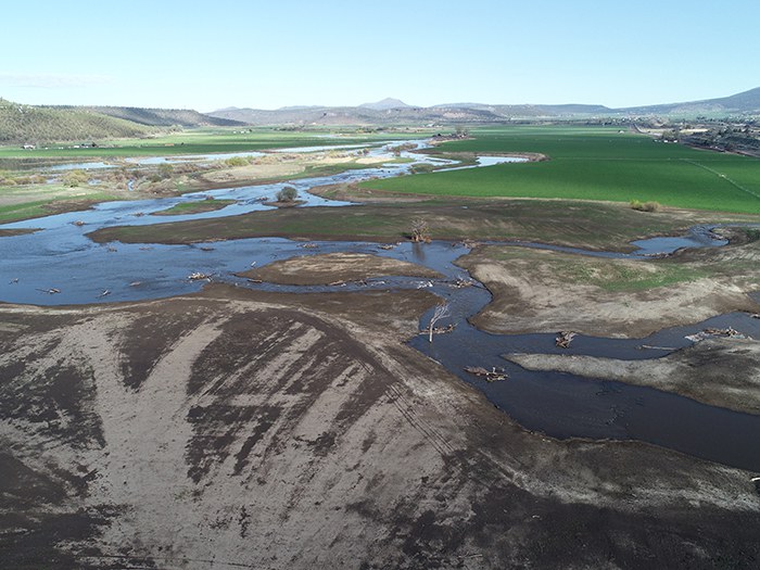 McKay Creek in May 2023. Photo: Land Trust.