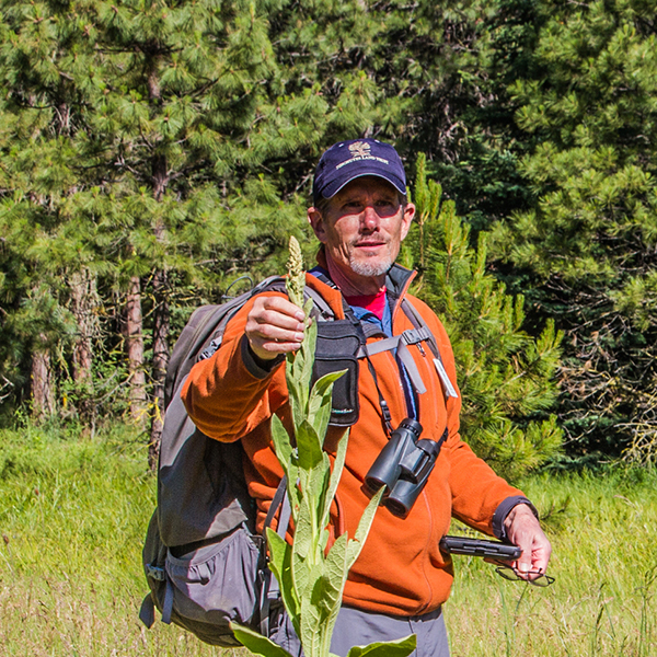 Bill Mitchell leads a bird walk at Spring Creek and weaves in weeds! Photo: Charlie Chaffee.