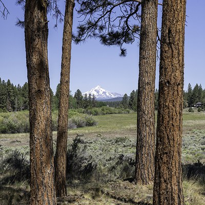 Mt. Jefferson view from Indian Ford Meadow Preserve. Photo: Wasim Muklashy.