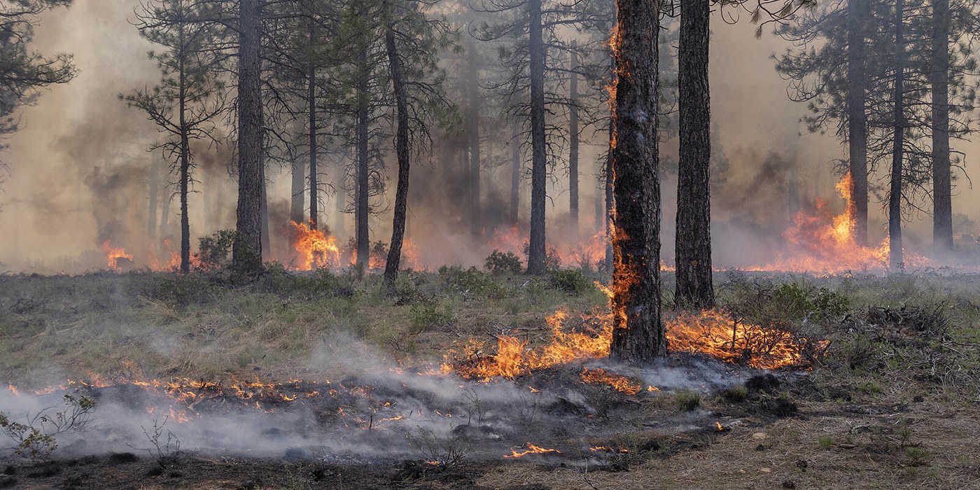 The prescribed burn at Metolius Preserve in May 2025. Photo: Rick Dingus.