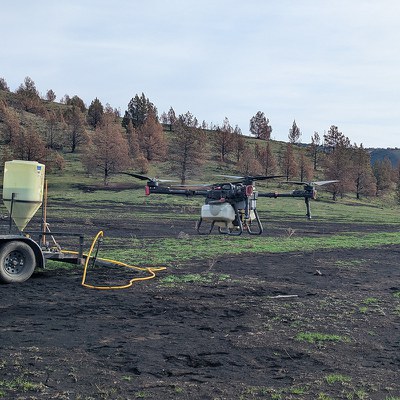 Wildfire restoration at Priday Ranch. Photo: Land Trust.