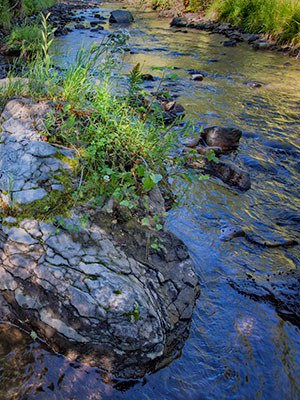 Whychus Creek at Whychus Canyon Preserve. Photo: Jay Mather.