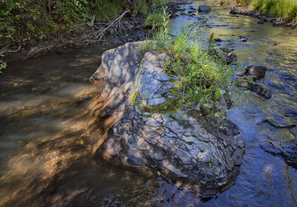 Whychus Creek. Photo: Jay Mather.