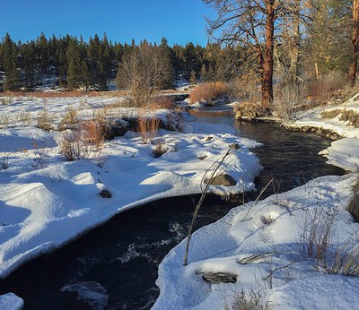 Winter at Camp Polk Meadow Preserve. Photo: Kris Kristovich.