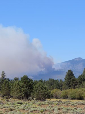 The Milli Fire from Indian Ford Meadow Preserve. Photo: Land Trust.