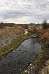 McKay Creek at Ochoco Preserve. Photo: Land Trust.