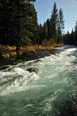 The Metolius River at Wizard Falls. Photo: Byron Dudley.