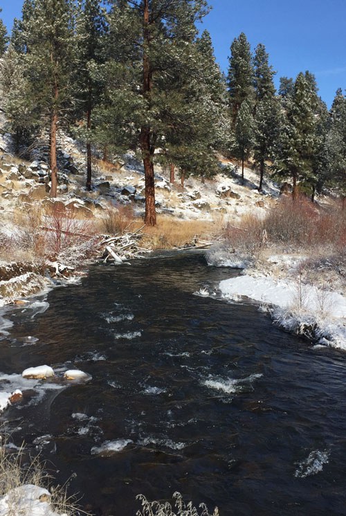 Whychus Creek will be impacted by the new Upper Deschutes Habitat Conservation Plan. Photo: Land Trust.