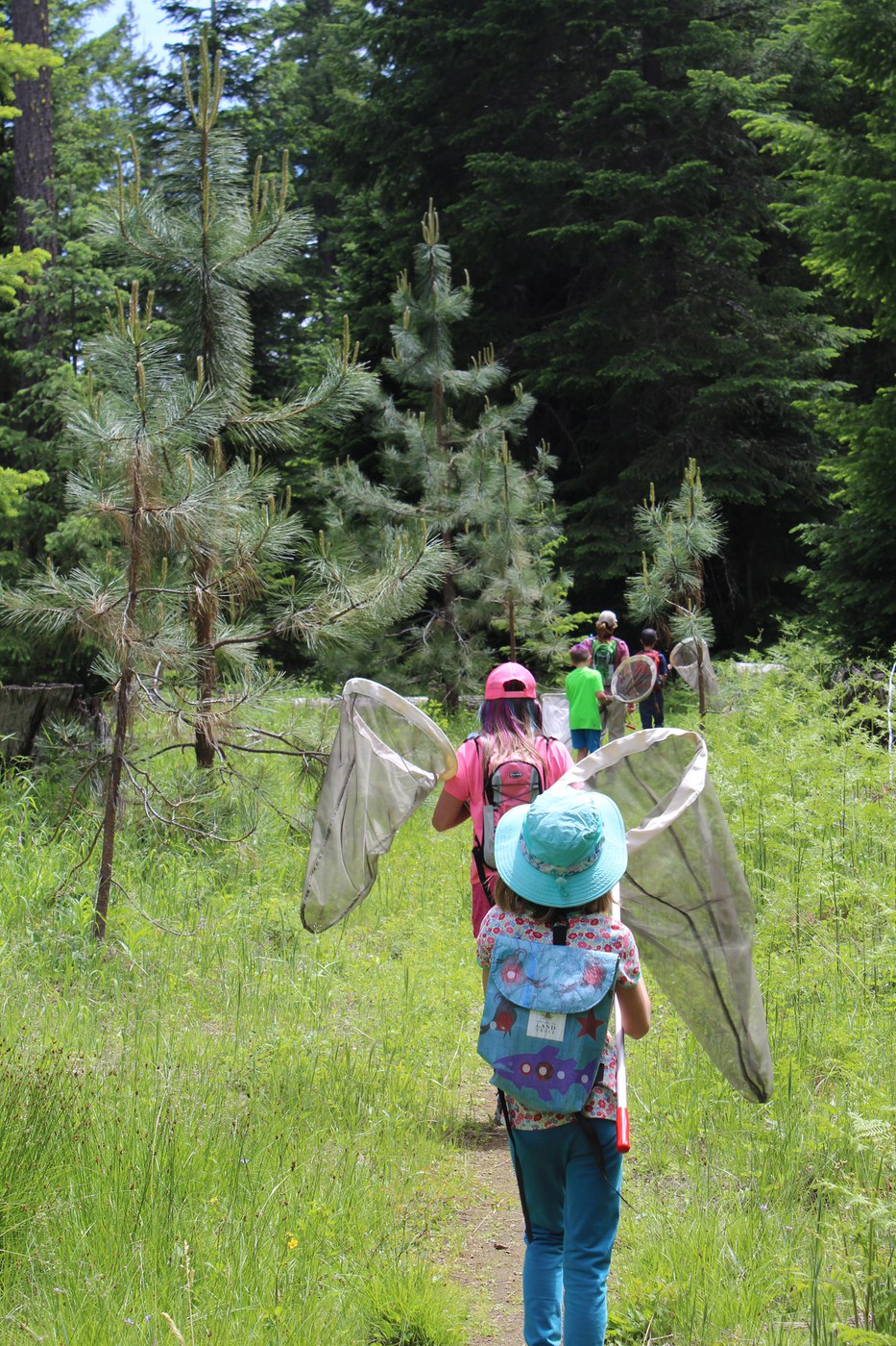 Nets swing on a butterfly walk through the Metolius Preserve. Photo: Land Trust.