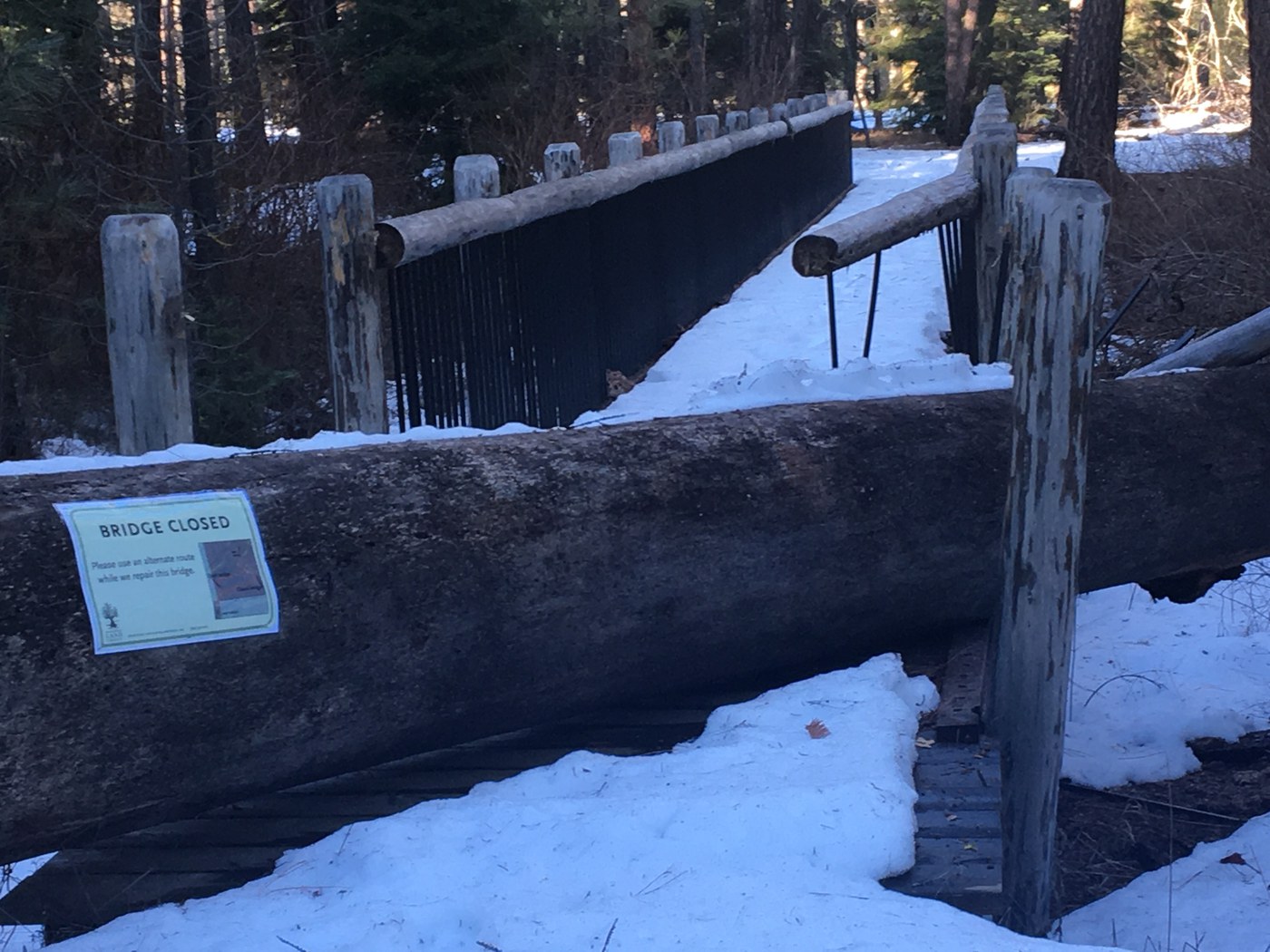 Bridge closed due to down tree at Metolius Preserve. Photo: Gus Gustafson